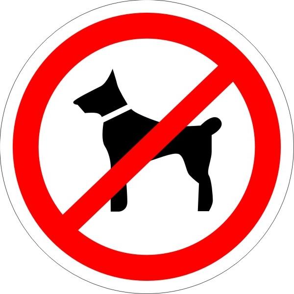 Отели снимают запреты на животных